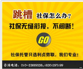 北京社保代理公司社保补缴服务与电脑软件应用